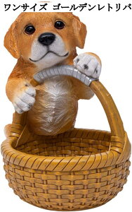  u ֎[ [ 킢  oXPbg [ u rvu R LfB[ CeA     ʔ v[g a Vzj q ItBX