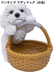  u ֎[ [ 킢  oXPbg [ u rvu R LfB[ CeA     ʔ v[g a Vzj q ItBX