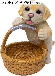  u ֎[ [ 킢  oXPbg [ u rvu R LfB[ CeA     ʔ v[g a Vzj q ItBX