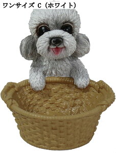 ֎[ [ 킢  u [ u rvu R[ LfB[[ oXPbg  ʔ   G CeA v[g a Vzj q 