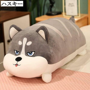  ʂ NbV  A _炩 e Q fXN 􂦂 YQ ʂ \t@[w  Mtg v[g 40cm 60cm 80cm 100cm
