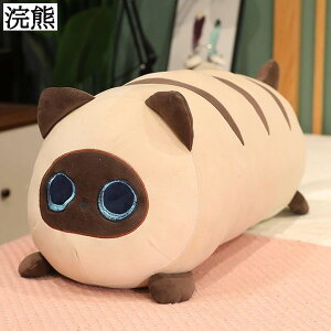  ʂ NbV  A _炩 e Q fXN 􂦂 YQ ʂ \t@[w  Mtg v[g 40cm 60cm 80cm 100cm