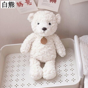 ETM Ck  ʂ \t@[ {fB  35cm 50cm e 炩 􂦂 n ObY @\ Be  wj j