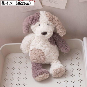 ETM Ck  ʂ \t@[ {fB  35cm 50cm e 炩 􂦂 n ObY @\ Be  wj j