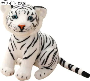  ʂ    _炩 ӂӂ  GObY x 2022 j a 蕨 Mtg v[g