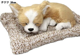 リアルな犬のぬいぐるみ チワワ かわいい寝顔 置物 活性炭入り 癒しインテリア