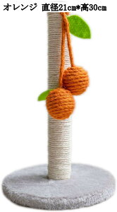 cu L܂Ƃ |[ t  ǉƋی ȒP ϋv   XgXU ^s Lpi ݂J[