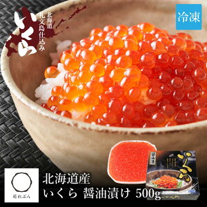 ݖЂ ikCYj 500g