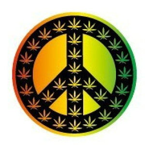 _CJbgXebJ[@wvs[X@10×10cm̃rbOTCYV[ŃJX^}CYyDM֑IzyyMt_z