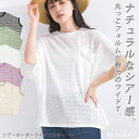 【 70％OFF 】 シャツ レディース 半袖 トップス シアー ボーダー ワイド プルオーバー le colis ルコリ 半袖 5分袖 カットソー 春 夏 総柄 ドルマン メール便可