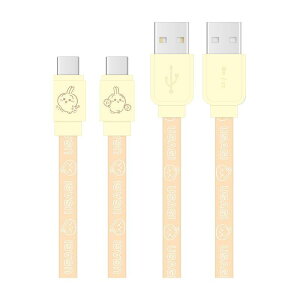  [dP[u USB Type-CΉ  chiikawa X}z PC 킢 LN^[ ObY v[g Mtg ȂȂ듰