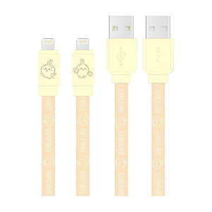 y20OFFzyz  [dP[u USB LightningΉ  chiikawa X}z PC 킢 LN^[ ObY v[g Mtg ȂȂ듰