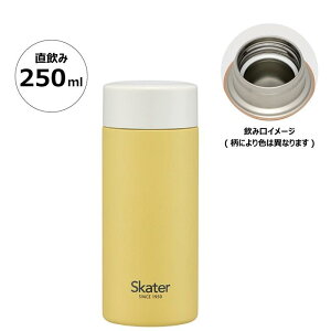 y20OFFzXP[^[ ݃CG[ XeX}O{g y 250ml ۉ ۗ  LN^[ ObY v[g Mtg ȂȂ듰