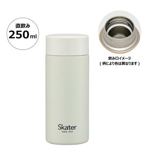 y20OFFzXP[^[ ݃O[ XeX}O{g y 250ml ۉ ۗ  LN^[ ObY v[g Mtg ȂȂ듰