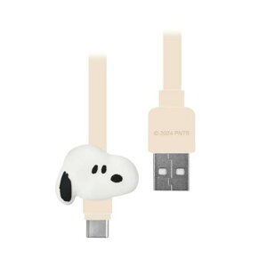 Xk[s[ }XRbgP[u USB Type-C Ή s[ibc PC X}z 킢 LN^[ ObY v[g Mtg ȂȂ듰