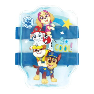 �X�P�[�^�[ �x���g�t�� �ۗ�� SKATER ���ٓ� �����` �ۗ� �N�[���W�F�� �J��Ԃ��g���� �����΍� ���킢�� �L�����N�^�[ �O�b�Y �v���[���g �M�t�g �ȂȂ��듰