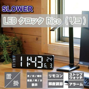 SLOWER LEDNbN Rico (R) u|p fW^ v