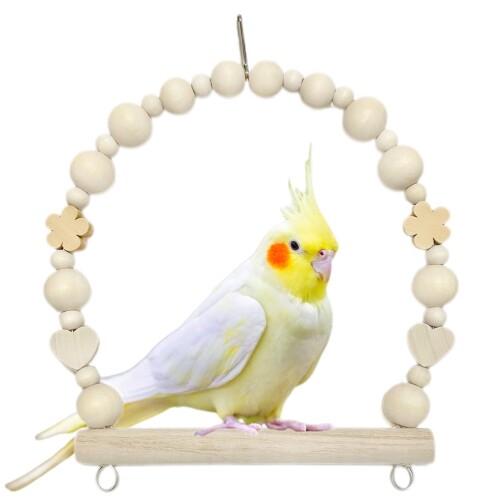 楽天市場】日本製 鳥用ブランコ 塗料不使用 インコ 文鳥 小鳥 小動物