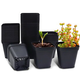 RooTrimmer 育苗ポット 2.5号 40個セット 根腐れ防止 多肉植物用 PP角型ポット スリット排水 繰り返し使用可能 マット加工 8×9cm 室内園芸 耐久性プラスチック鉢