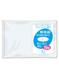 オルディ ビニール袋 キッチンポリ袋 食品保存袋 19号 透明 100枚入 横40×縦55cm 厚さ0.025mm 食品衛生法適合品 規格袋 ポリバッグ L025-19