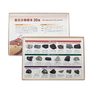 ��� ���� �W�{ TR-20 ��ΕW�{ 20��