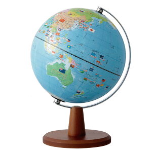  ݂ȕt nV CXgt RpNg݌v a20cm nVXP[t