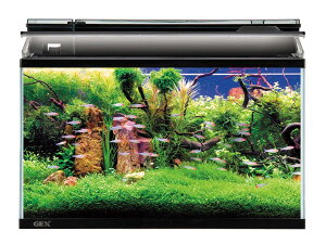 ANAE pZbg MAR45 KX 