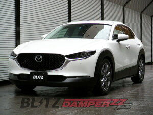[BLITZ_ZZ-R]DM8P CX-30_4WD(R1/10`)pubcԍmNoF92544n