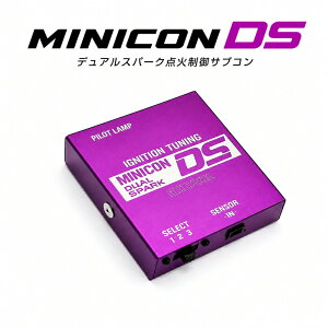 [�V�G�N��]GGES/GYEW �A�e���U/�X�|�[�c_LF-VE(2.0)(H17/6�`H19/12)�p�~�j�R��DS MINICON DS �_�ΐ���T�u�R���P�i