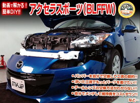 楽天市場 アクセラスポーツ 維持費の通販