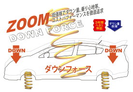 [ZOOM]FE30 BMW X5 3.0si(E70)用ダウンサス