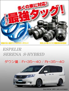 [ESPELIR]HC26 Zi(S-nCubh/O)pX[p[_ETX+ovo[