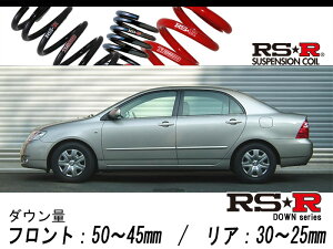 [RS-R_RS��R DOWN]ZZE122 �J���[��_���O�[�[��(2WD_1800 NA_H16/4�`H18/10)�p�Ԍ��Ή��_�E���T�X[T033D]