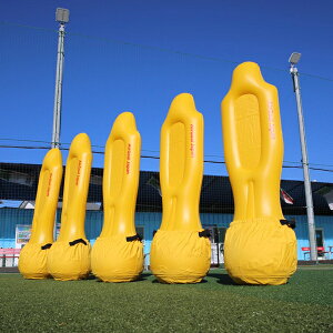 y񂹏iz Air Dummy tbg{[MA GA_~[ TK-CQR01  t[LbN Zbgv[ GKg[jO Q TbJ[ ܂肽 ^