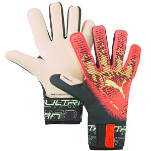 Eg Obv 1 nCubh ypuma v[}z L[p[O[u 041827-02