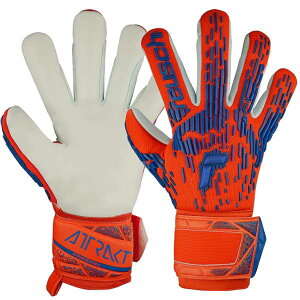 AgNg t[Q Vo[ yCV reuschz L[p[O[u 5460235-2210