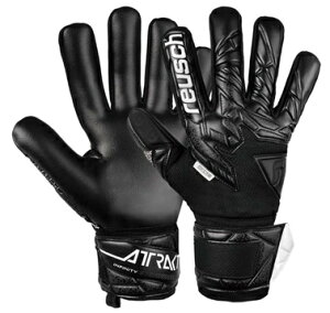 AgNg CtBjeB NC yCV reuschz L[p[O[u 5560725-7700