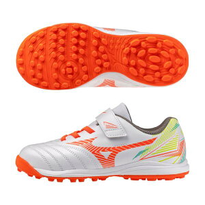 �A���S�[�� SB AS �ymizuno �~�Y�m�z �g���[�j���O�V���[�Y P1GE262854