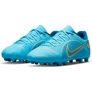 ナイキジュニアサッカースパイクの通販 価格比較 価格 Com