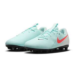 WjA t@g GX2 AJf~[ HG yNIKE iCLz WjATbJ[XpCN TbJ[V[Y FJ2602-300