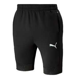 v[} puma TEAMFINAL g[jO n[tpc ubN 659127