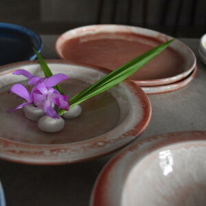 y0011zTorazawaceramics V Flow v[g sN bh 19cm  _