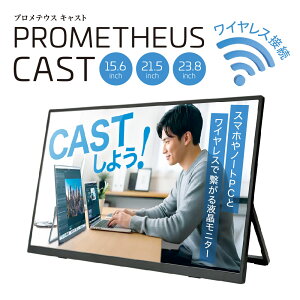 PROMETHEUS CAST CXj^[ veEXj^[ CXڑ oCj^[ 15.6inch21.5inch23.8inch oCt  j^[ PC ZJhj^ p170° Oj^[ IPSpl