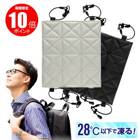 【楽天1位★送料無料！】 [公式] U-COOLアイスパッド リュック 背中 冷却パッド アイス枕 氷枕 結露なし 長時間冷却 冷感マット 吸熱 ひんやりクールシート 繰り返し使用可能 暑さ対策 熱中症対策 赤ちゃん ペット 室内 屋外 キャンプ 通勤 ギフト