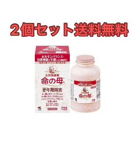 【2個セット】命の母A 840錠【第2類医薬品】【送料無料】