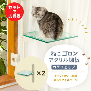 【2枚セット】キャットタワー専用 アクリル棚板 (ガラスエッジ) 本体別売り 日本メーカー 送料無料 窓際 出窓 透明 スケルトン 肉球 キャットステップ 洗える 北欧 日本製(CTE-AB(GE)×2)【ね
