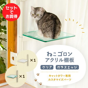 【2枚セット】キャットタワー専用 アクリル棚板 クリア+ガラスエッジセット 本体別売り 日本メーカー 送料無料 窓際 出窓 透明 スケルトン 肉球 キャットステップ 洗える 北欧 日本製(CTE-