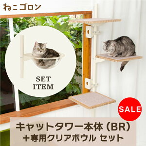 m25OFFSALEnyZbgizLbg^[{(uE){NA{E {[J[  125cm  k ȃXy[X X {  Vя LbgXebv (CT-KMY2(BN)+UF