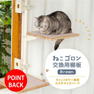 �y�˂��S�����L���b�g�^���[��p�z �����I�� (�u���E��) �{�̕ʔ��� ���{���[�J�[ �������� ���� �o�� �ȃX�y�[�X �X���� �������� ������� �k�� �L���b�g�c���[ ���{���iCTE-SB(BN)�j�y�I�v