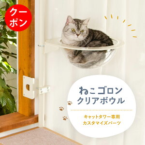 y15ItN[|zLbg^[p NA{E {̕ʔ {[J[   o h[^xbg AN  XPg FD UFO  􂦂 k 30cmȏiCTE-UFOj